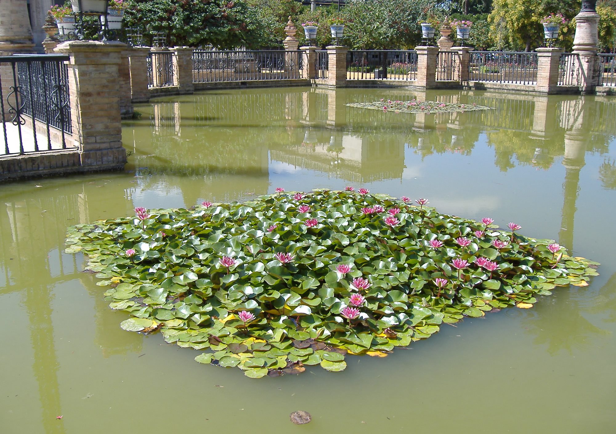 excursión excursiones Sevilla en 1 día desde Granada